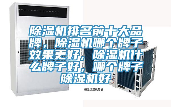 除湿机排名前十大品牌，除湿机哪个牌子效果更好，除湿机什么牌子好，哪个牌子除湿机好