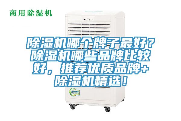 除湿机哪个牌子最好？除湿机哪些品牌比较好，推荐优质品牌+除湿机精??！