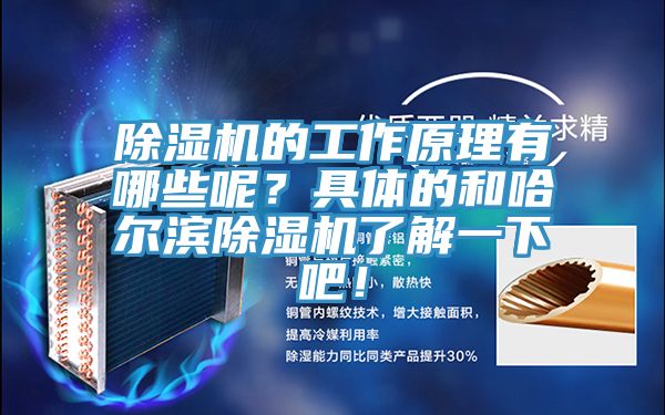除濕機(jī)的工作原理有哪些呢？具體的和哈爾濱除濕機(jī)了解一下吧！