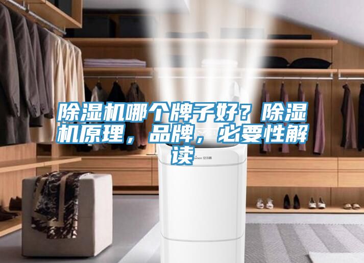 除湿机哪个牌子好？除湿机原理，品牌，必要性解读