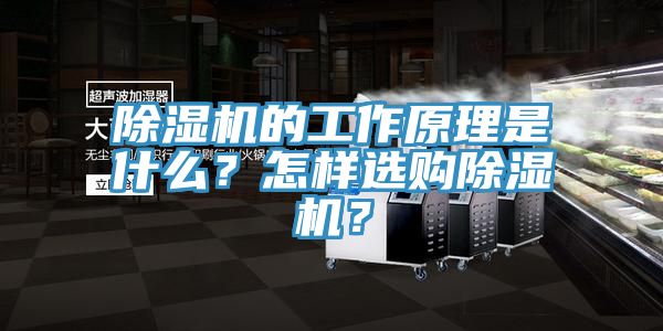 除濕機(jī)的工作原理是什么？怎樣選購(gòu)除濕機(jī)？