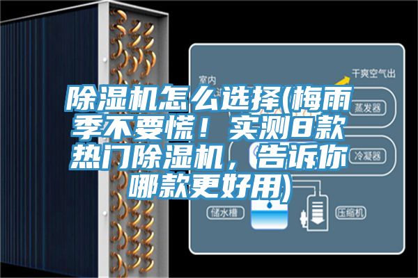 除濕機(jī)怎么選擇(梅雨季不要慌！實(shí)測(cè)8款熱門除濕機(jī)，告訴你哪款更好用)