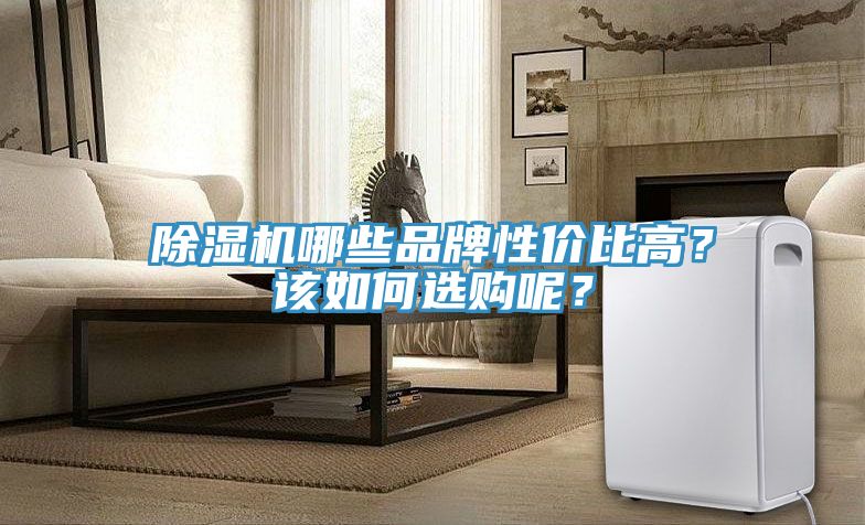 除湿机哪些品牌性价比高？该如何选购呢？
