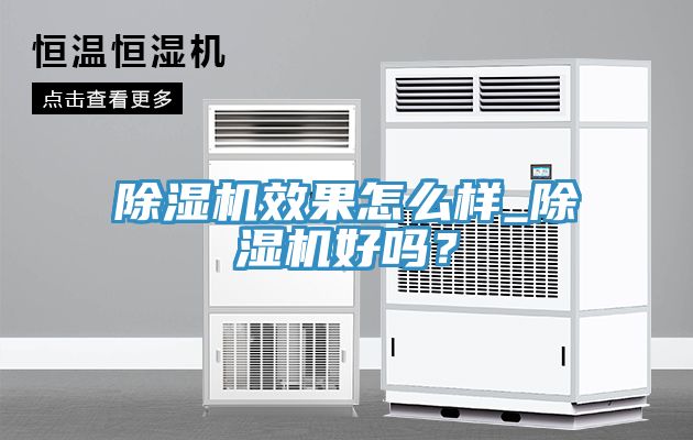 除濕機(jī)效果怎么樣_除濕機(jī)好嗎？