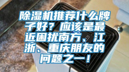 除湿机推荐什么牌子好？应该是最近困扰南方、江浙、重庆朋友的问题之一！