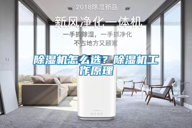 除濕機怎么選？除濕機工作原理
