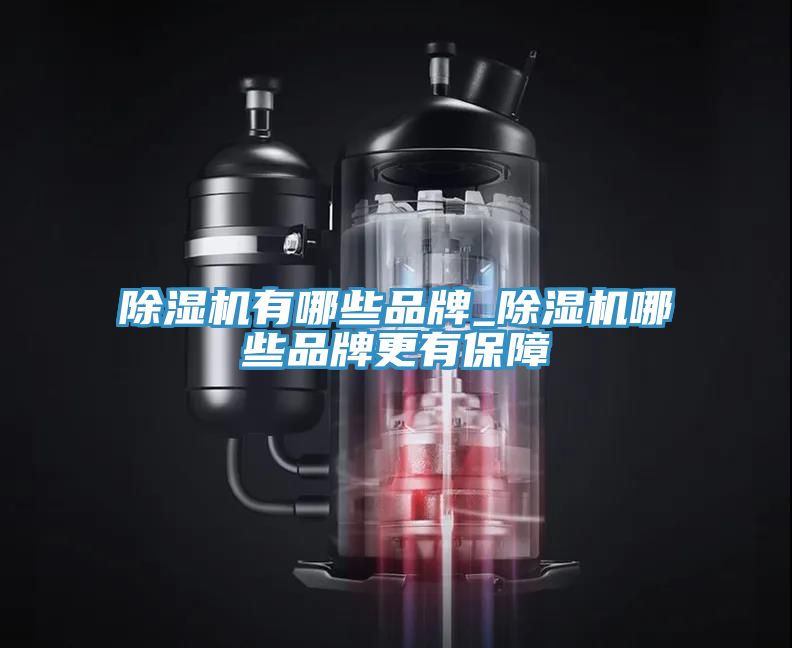 除湿机有哪些品牌_除湿机哪些品牌更有保障