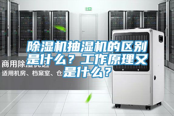 除湿机抽湿机的区别是什么？工作原理又是什么？