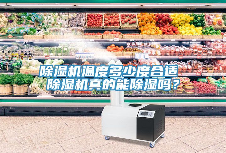 除濕機(jī)溫度多少度合適 除濕機(jī)真的能除濕嗎？