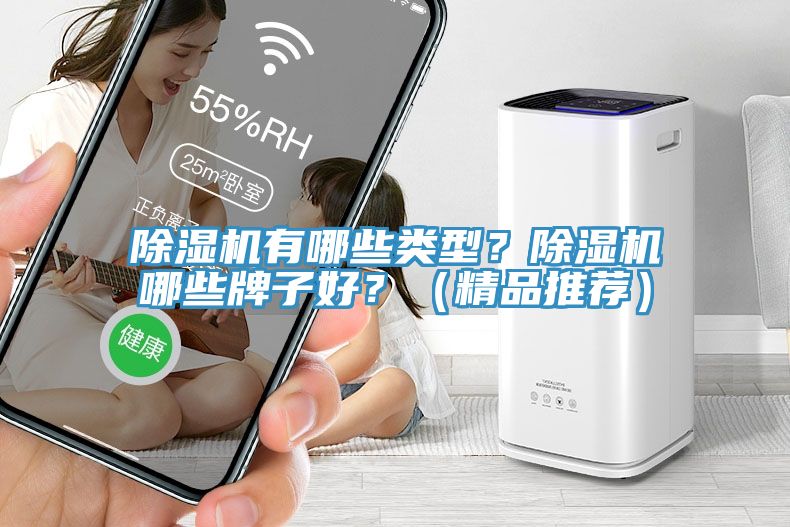 除濕機(jī)有哪些類型？除濕機(jī)哪些牌子好？（精品推薦）