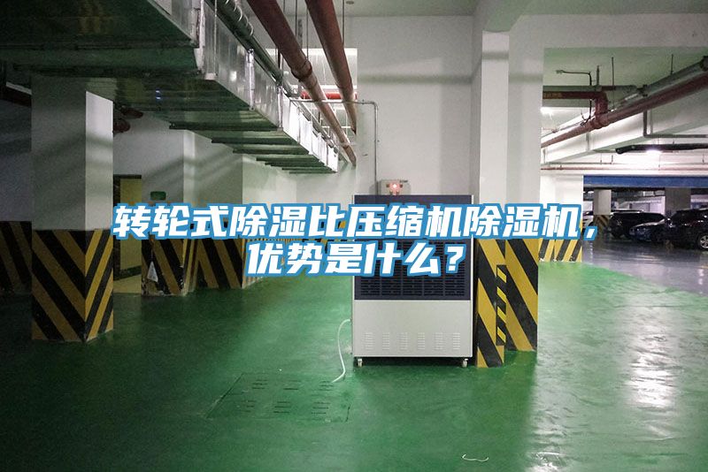 转轮式除湿比压缩机除湿机，优势是什么？