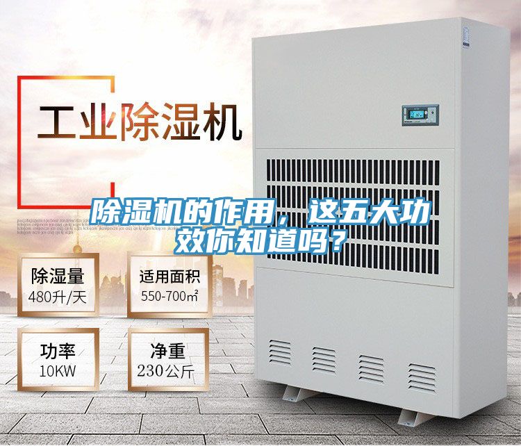 除湿机的作用，这五大功效你知道吗？